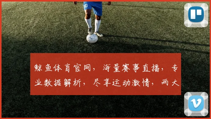 鲸鱼体育官网，海量赛事直播，专业数据解析，尽享运动激情，两大特色逗您笑